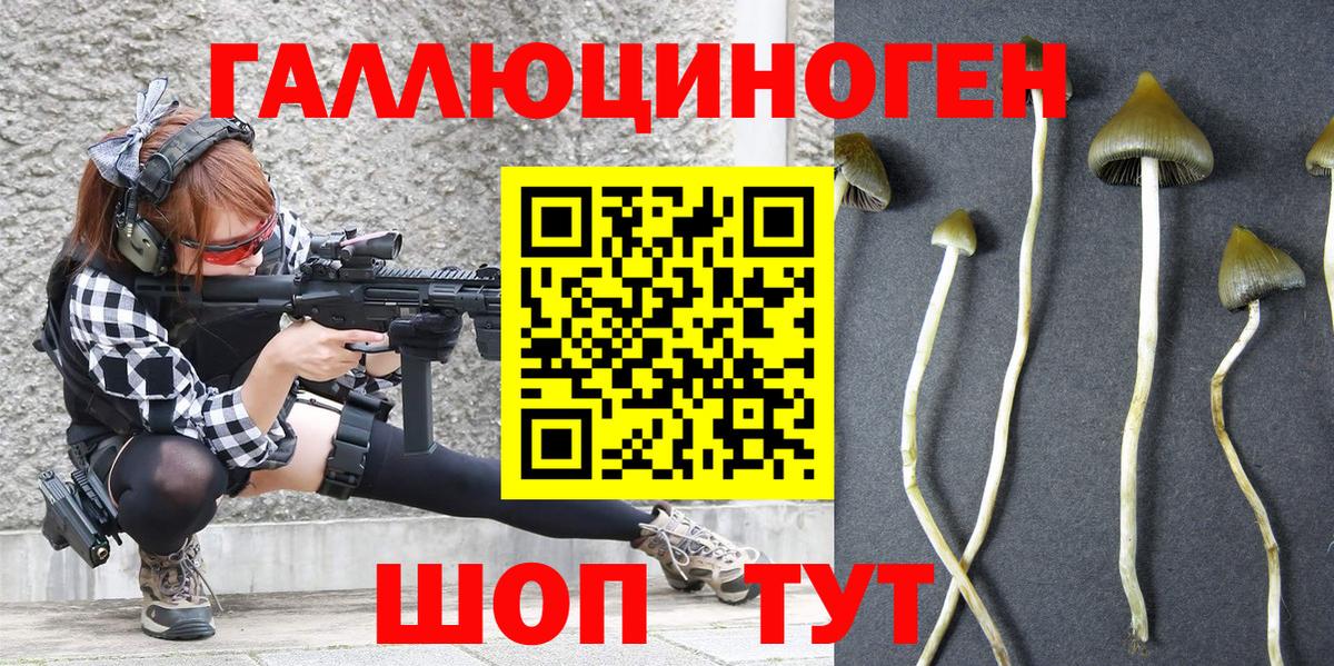 Псилоцибиновые грибы Magic Shrooms  купить наркотики цена  Надым  Псилоцибиновые грибы MAGIC MUSHROOMS  Вход с VPN 